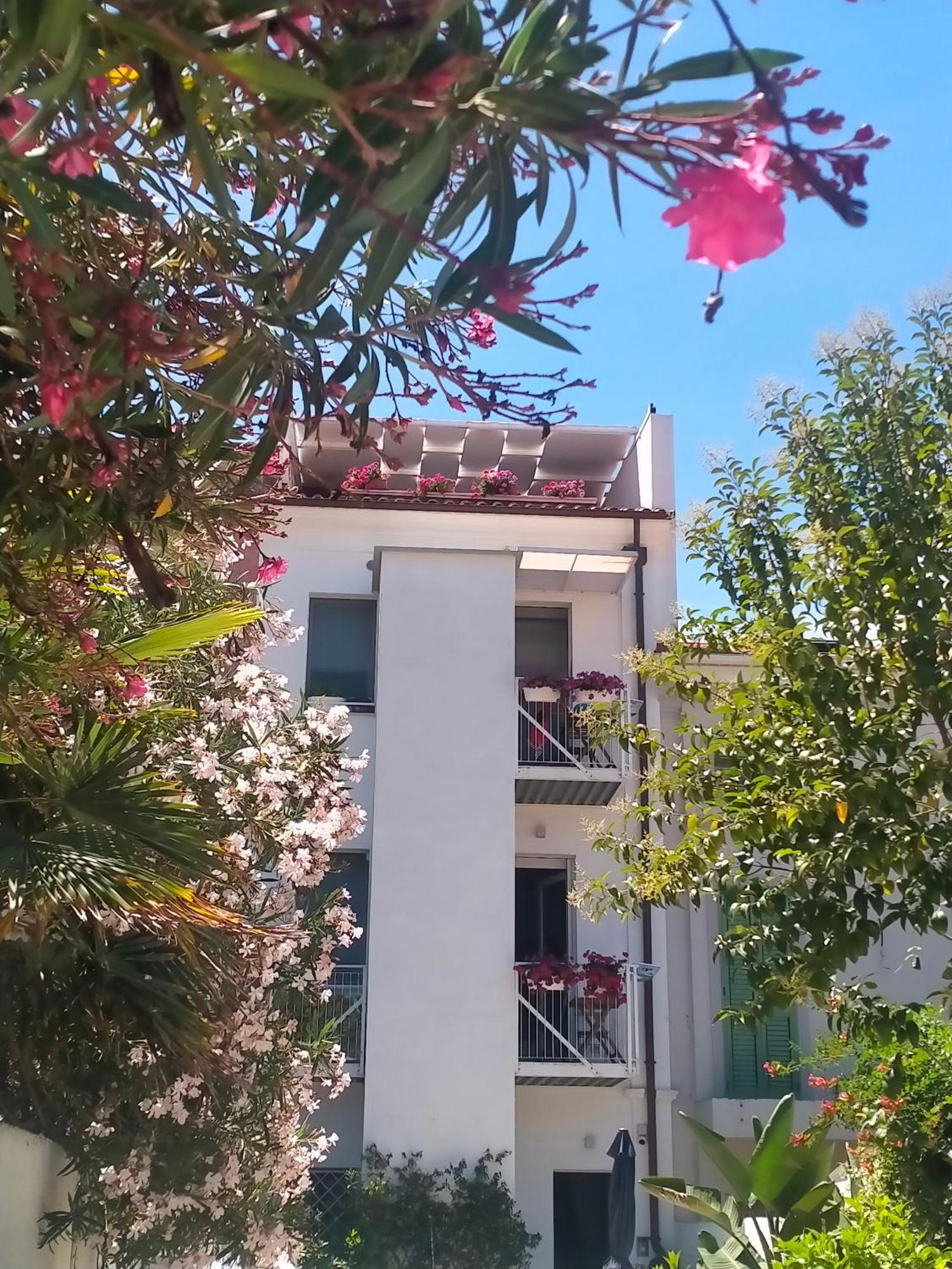 B&B Previsto Sole Civitanova Marche Esterno foto